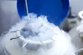 A cryogenic container with white vapor rising as a metal instrument is inserted, likely used for freezing or storing biological samples.