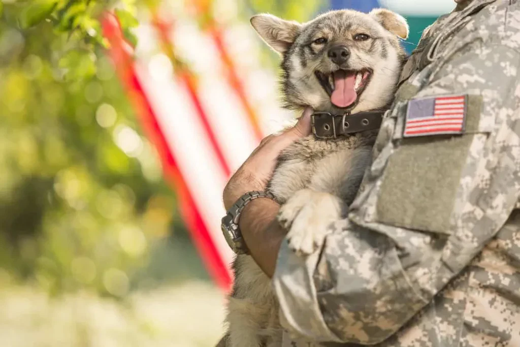 A military service member in a camouflage uniform with an American flag patch holds a happy, panting small dog in their arms outdoors.