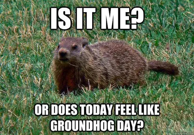 A groundhog standing in green grass with bold white impact font overlay text reading, IS IT ME? OR DOES TODAY FEEL LIKE GROUNDHOG DAY?.