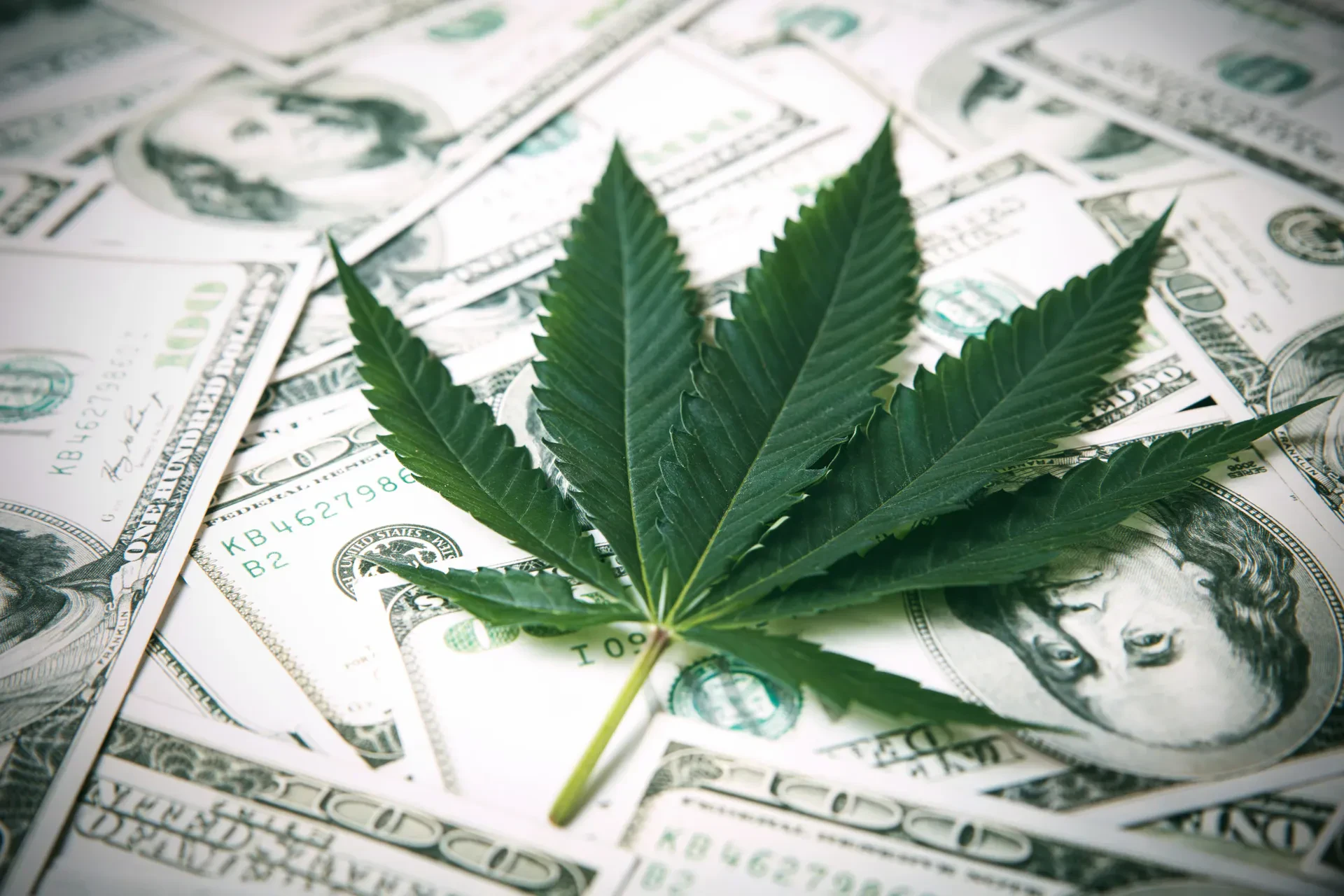 A cannabis leaf rests on top of scattered U.S. one hundred dollar bills, symbolizing the connection between the marijuana industry and financial aspects.