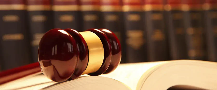 An open book with a lawyer's gavel placed on top, representing legal authority and knowledge.
