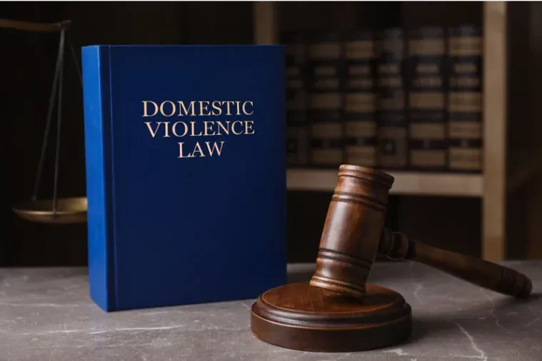 A visual representation of domestic violence law featuring a gavel, scales, and a Book with a title of "Domestic Violence Law."