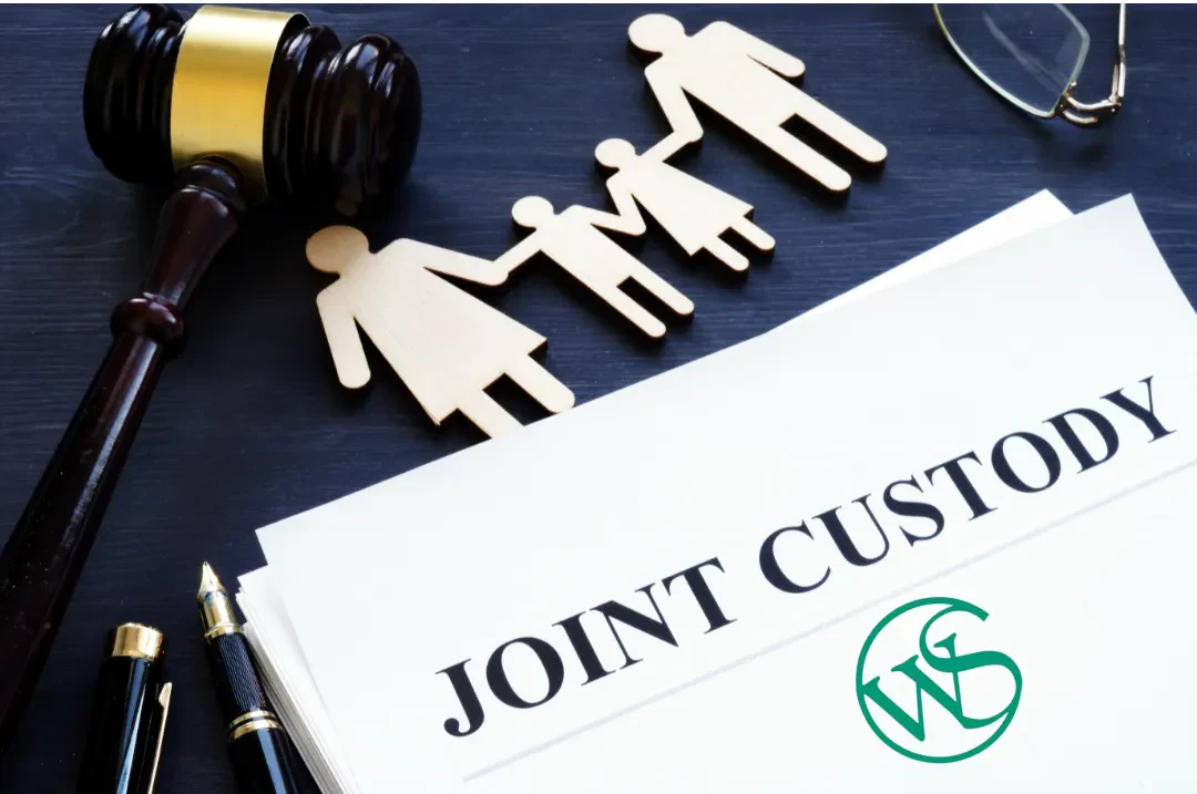 An overhead shot displays a legal document titled "JOINT CUSTODY" in bold black capital letters, featuring a circular green logo with the letters "WS" in the bottom right corner